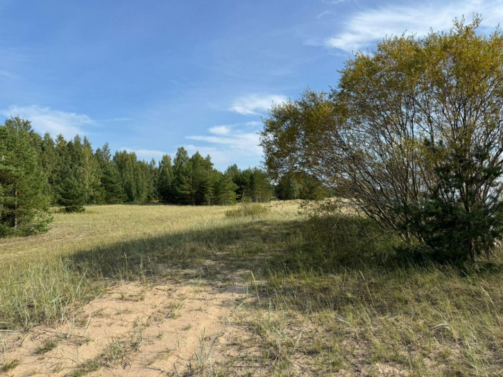 Земельный участок деревня Мяковщина