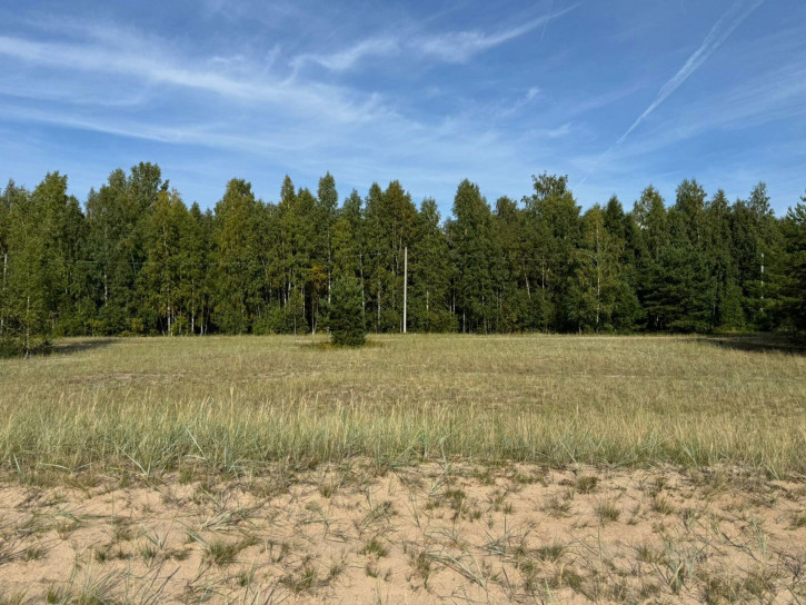 Земельный участок деревня Мяковщина