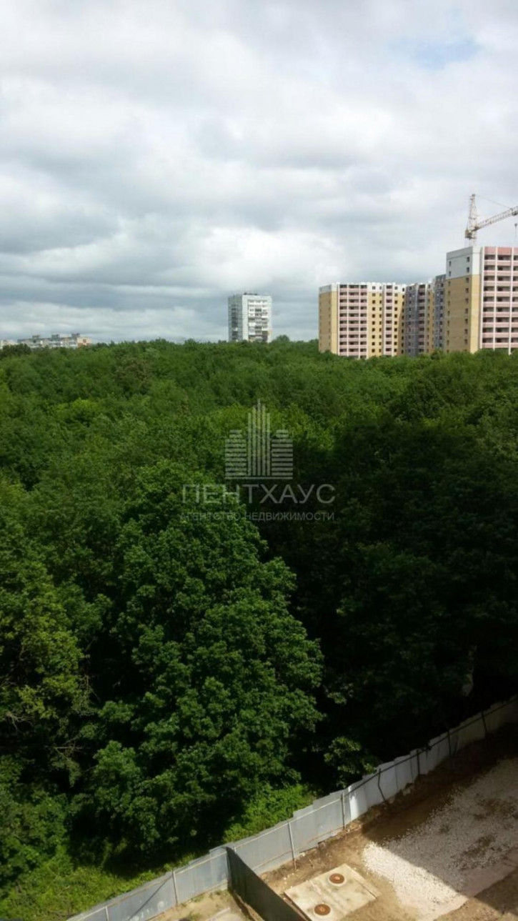 1-комн квартира Нижняя Дуброва ул., 54, к 3, 54