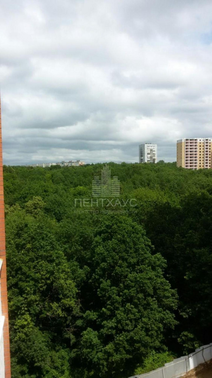 1-комн квартира Нижняя Дуброва ул., 54, к 3, 54