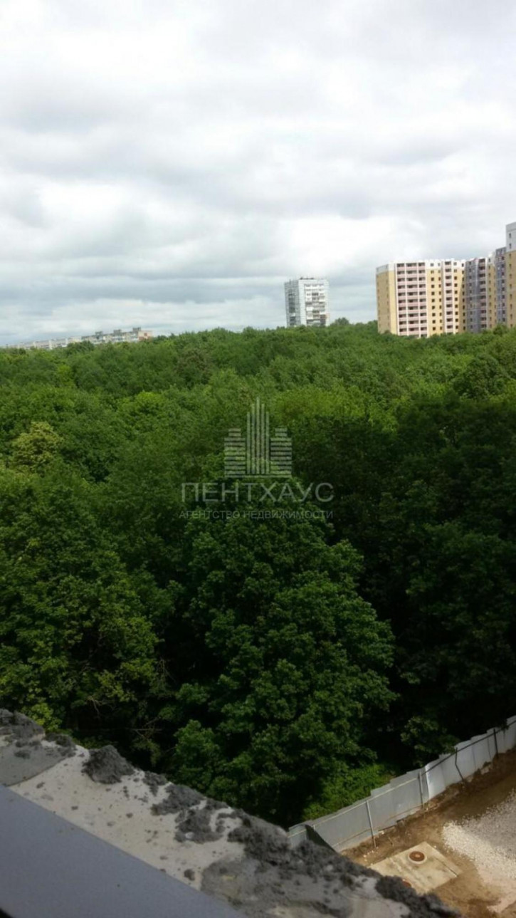 1-комн квартира Нижняя Дуброва ул., 54, к 3, 54