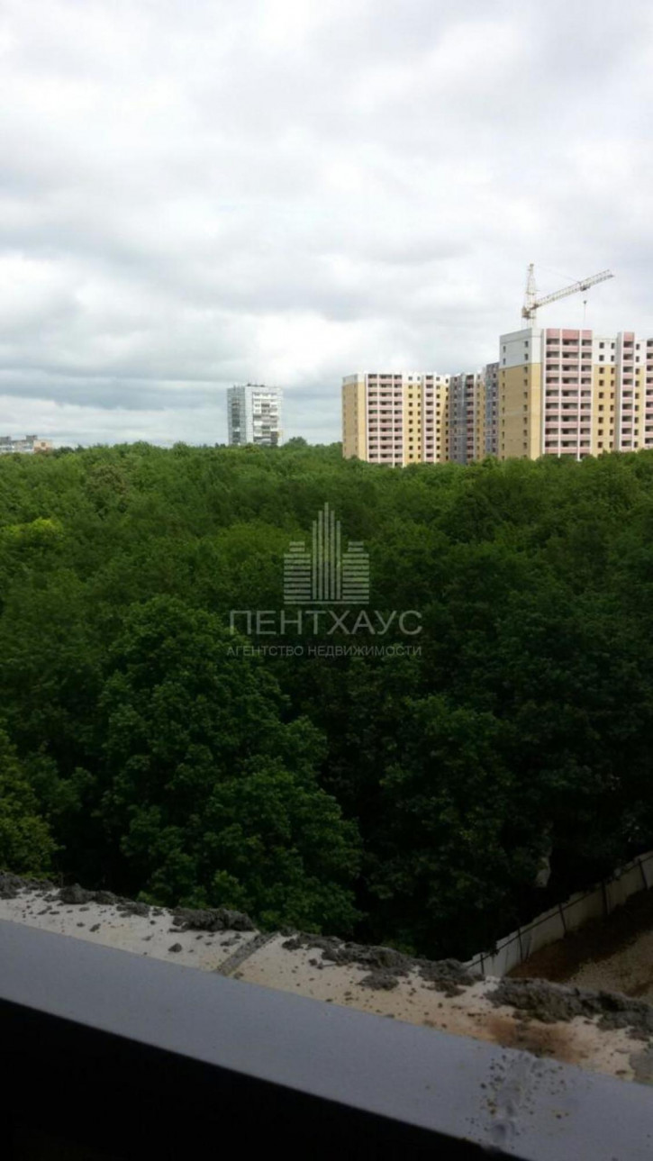 1-комн квартира Нижняя Дуброва ул., 54, к 3, 54