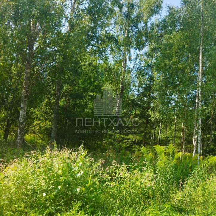 Земельный участок 83