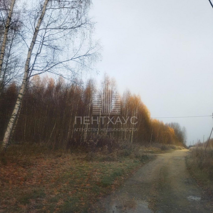 Земельный участок Внуково снт.