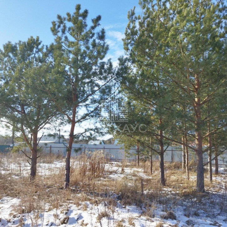 Земельный участок Газовик снт. Земельный участок Газовик снт.