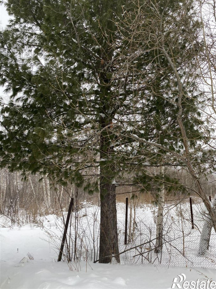Земельный участок проезд Геологов, д. 14 Земельный участок проезд Геологов, д. 14