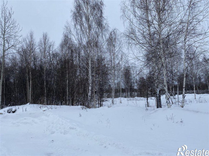 Земельный участок проезд Геологов, д. 14 Земельный участок проезд Геологов, д. 14