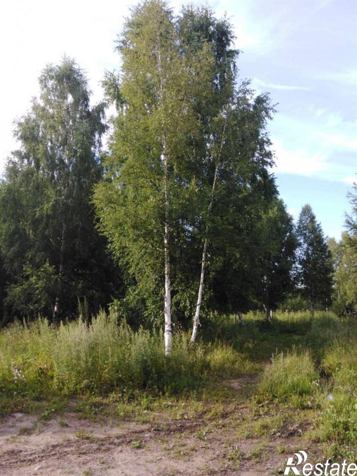 Земельный участок проезд Геологов, д. 14 Земельный участок проезд Геологов, д. 14