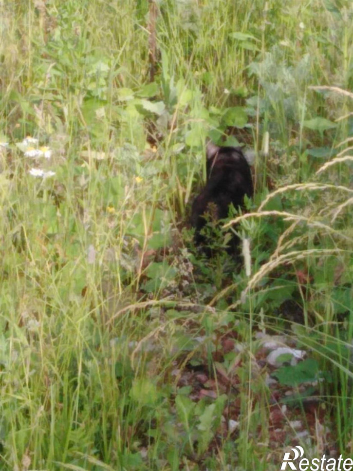 Земельный участок проезд Геологов, д. 14 Земельный участок проезд Геологов, д. 14