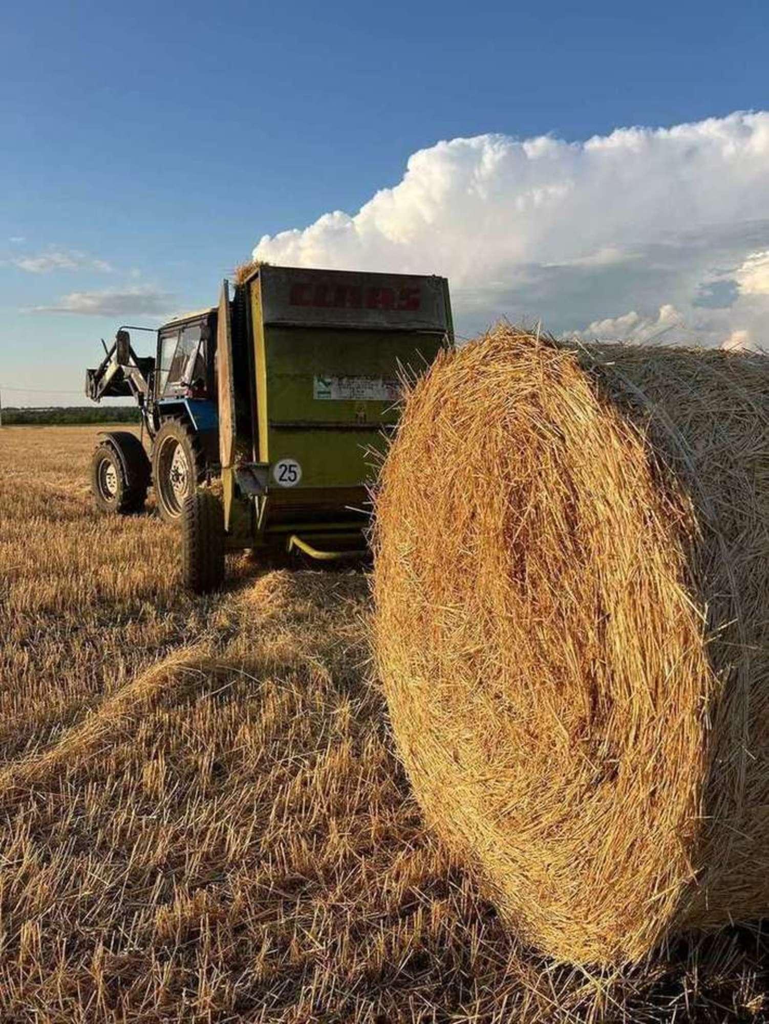 Купить землю, земельный участок за 57 000 000 рублей на Свободный посёлок