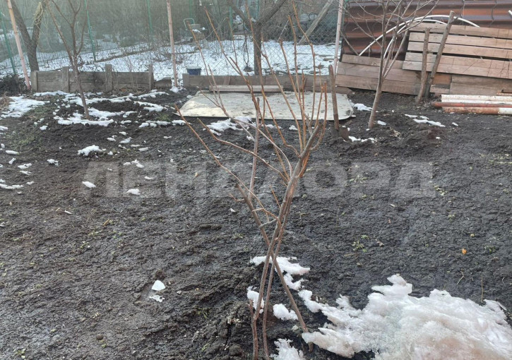 Земельный участок Пирамидная улица