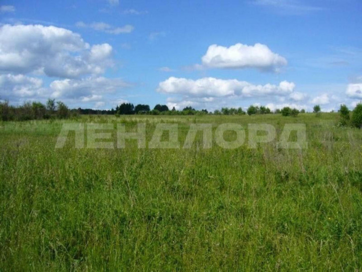 Земельный участок садоводческое товарищество Зодчий