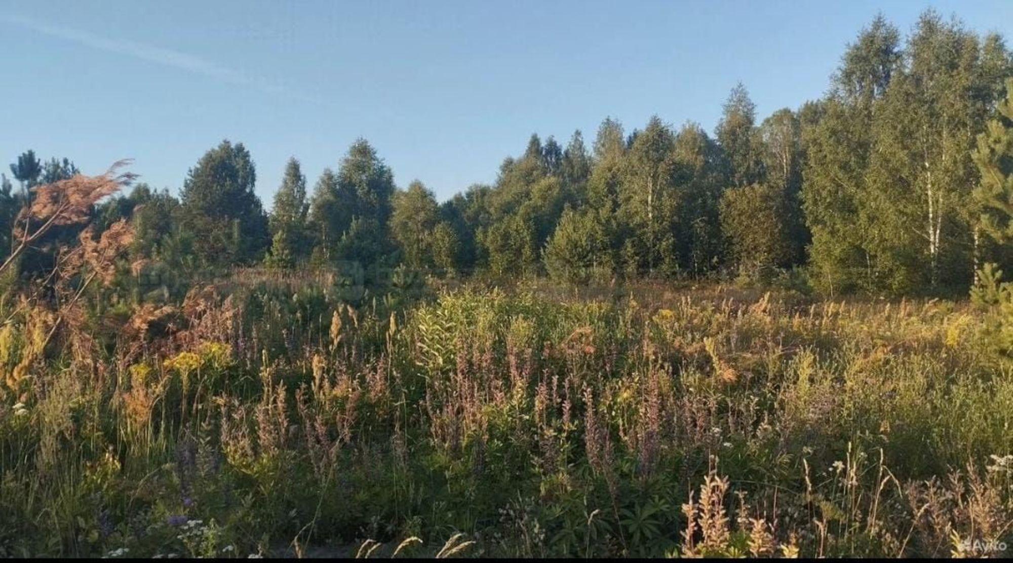 Купить землю, земельный участок за 2 500 000 рублей на ул. Подлесная, дом 5