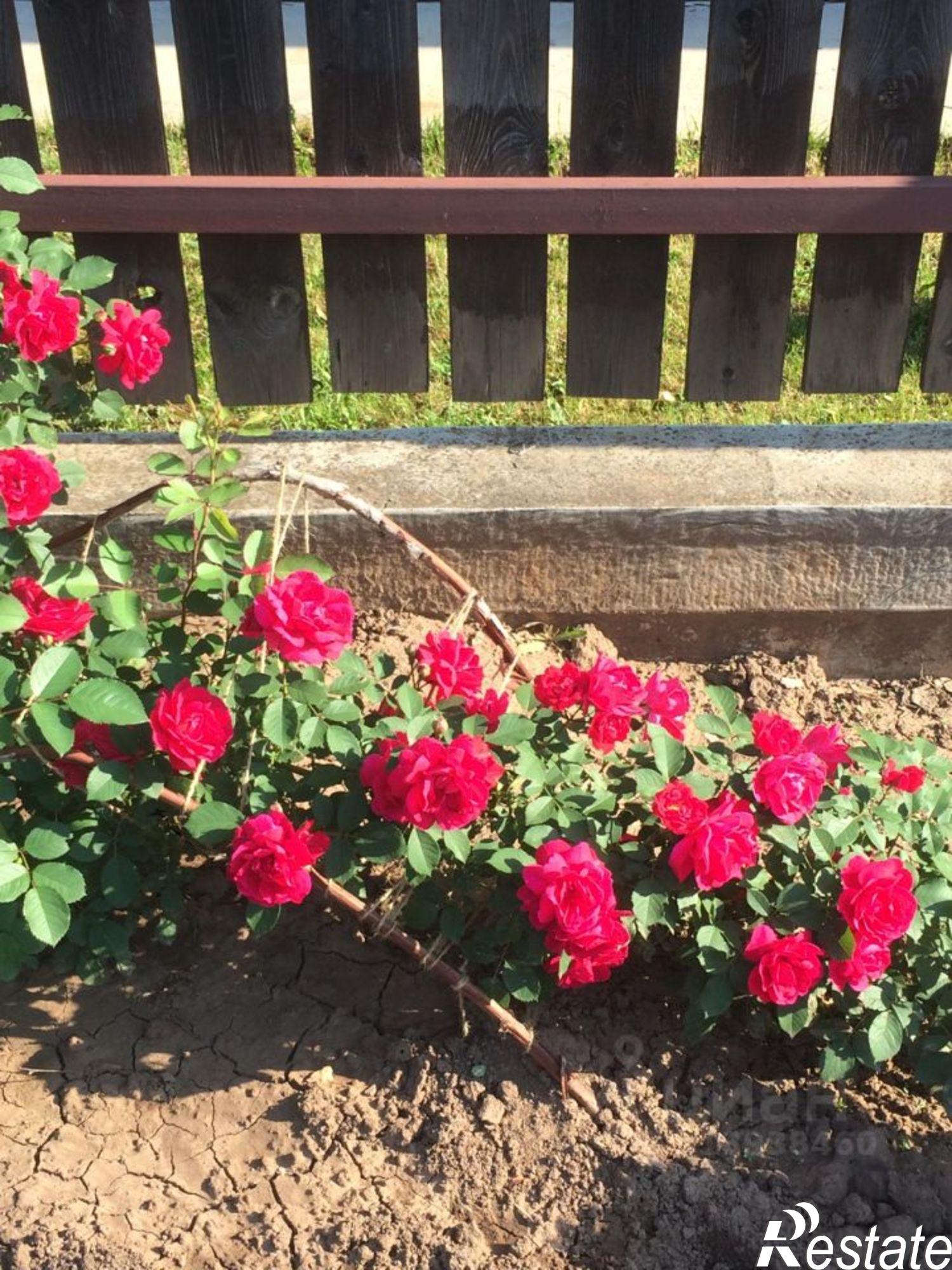 Купить землю, земельный участок за 1 500 000 рублей на посёлок Ильинский