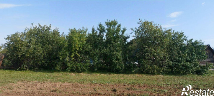 Земельный участок Варнавинский муниципальный округ, деревня Коленово, 29