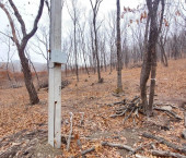 земля 8 сот коттеджный поселок Кедр,Ольховая улица