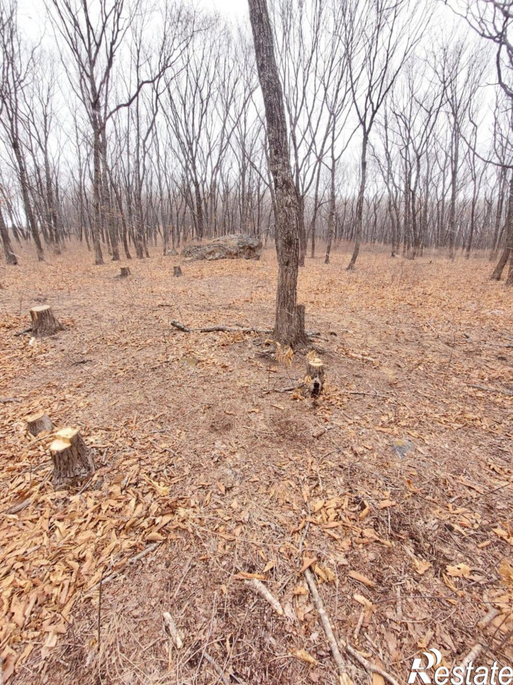 Земельный участок коттеджный поселок Кедр,Ольховая улица