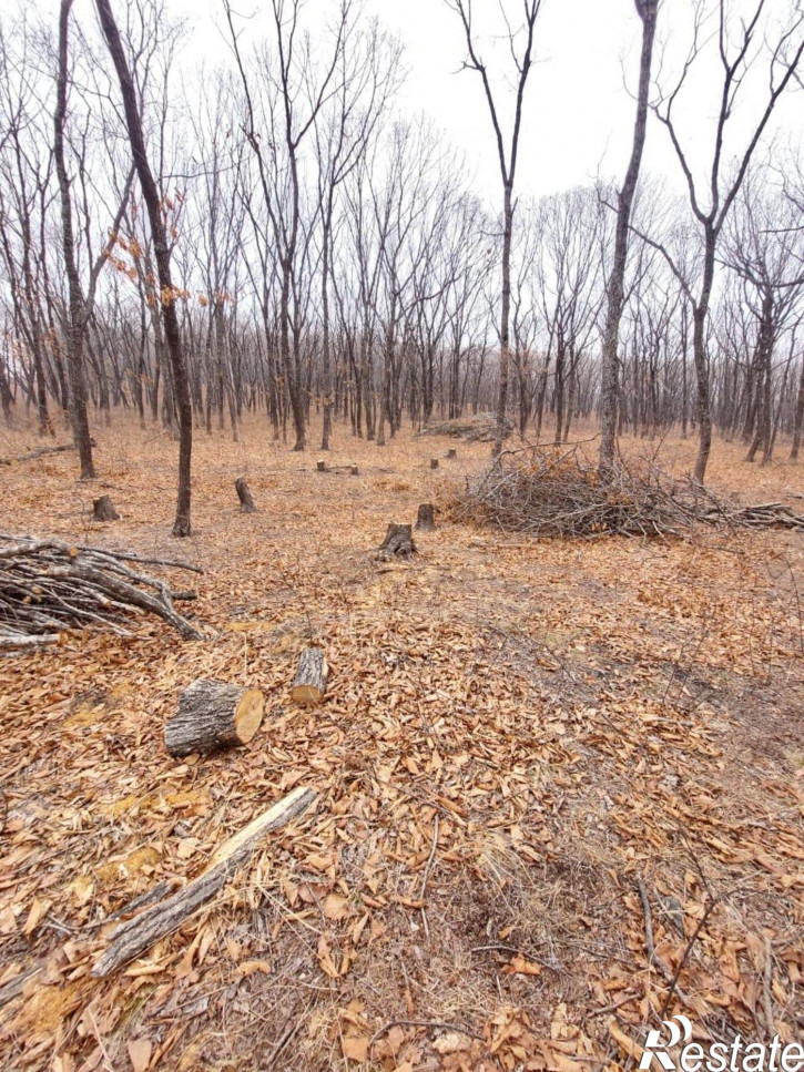 Земельный участок коттеджный поселок Кедр,Ольховая улица