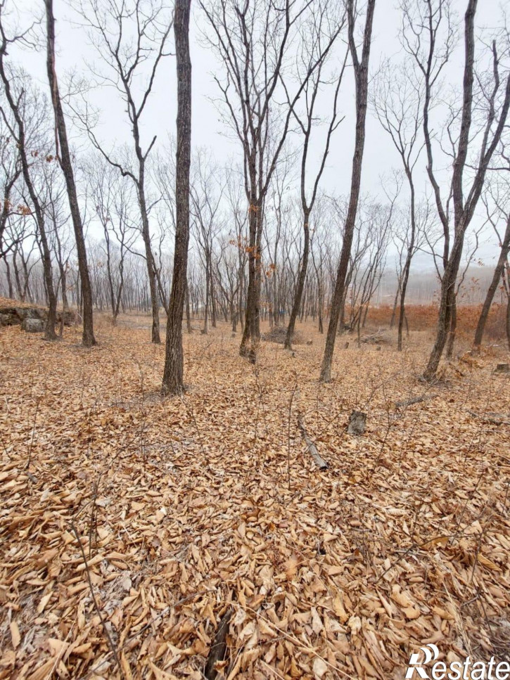 Земельный участок коттеджный поселок Кедр,Ольховая улица