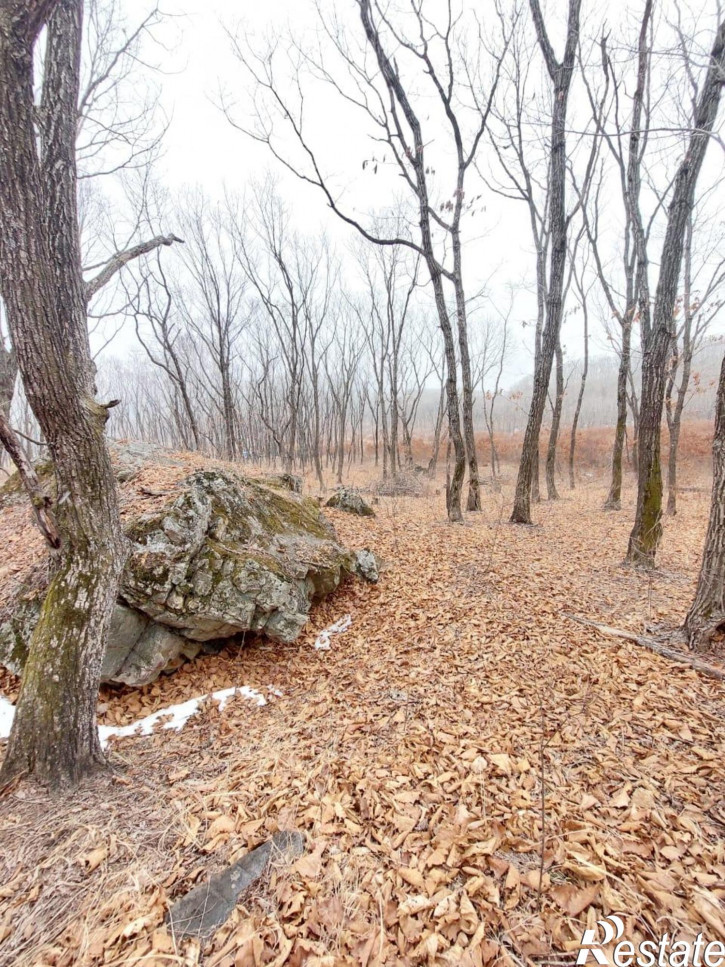 Земельный участок коттеджный поселок Кедр,Ольховая улица