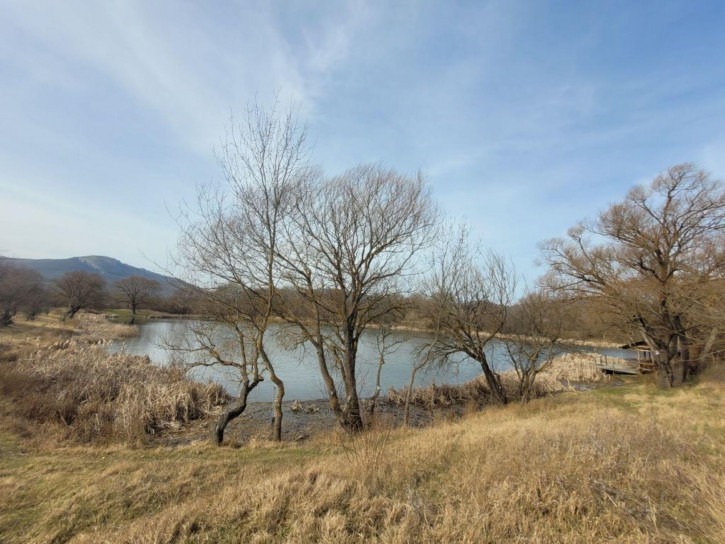 Земельный участок Приветливая