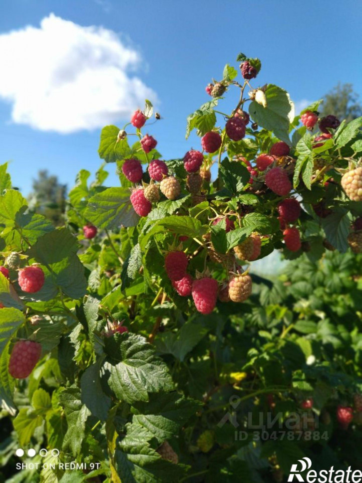Коттедж/дом улица Пушкина, 3,  д. 3