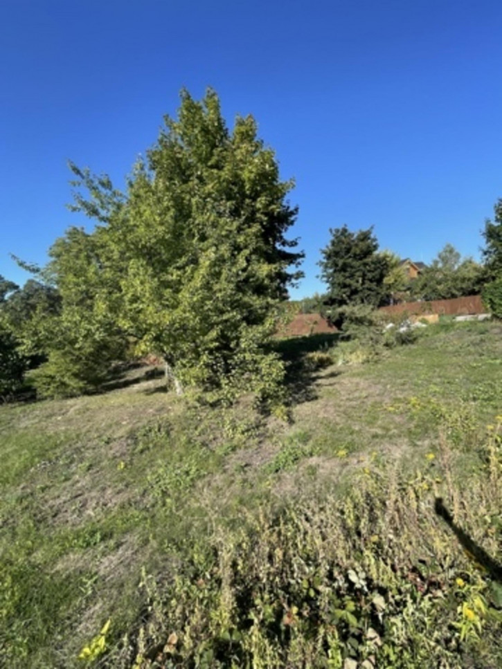 Земельный участок 7-я просека 6-й проезд