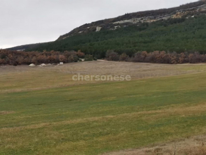 Земельный участок территория КСП Память Ленина, д.4