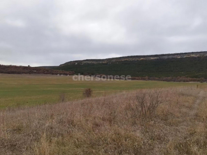 Земельный участок территория КСП Память Ленина, д.4