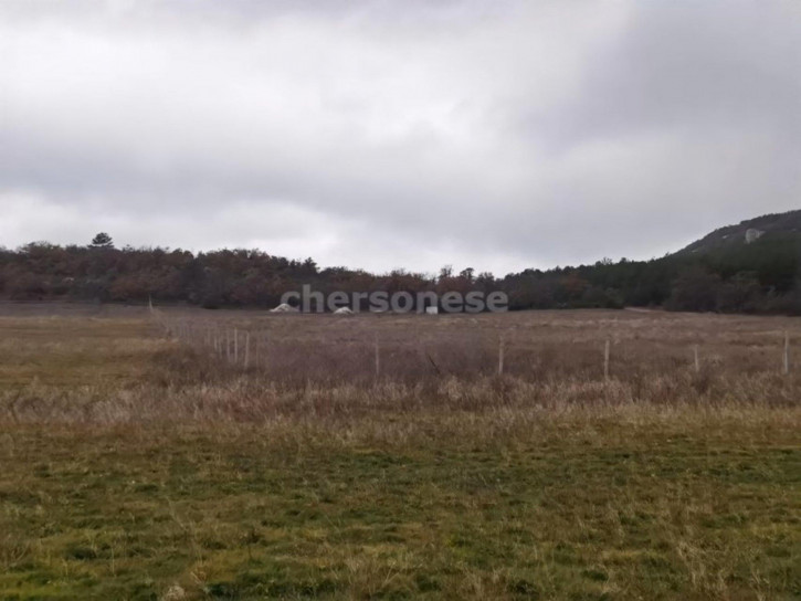 Земельный участок территория КСП Память Ленина, д.4