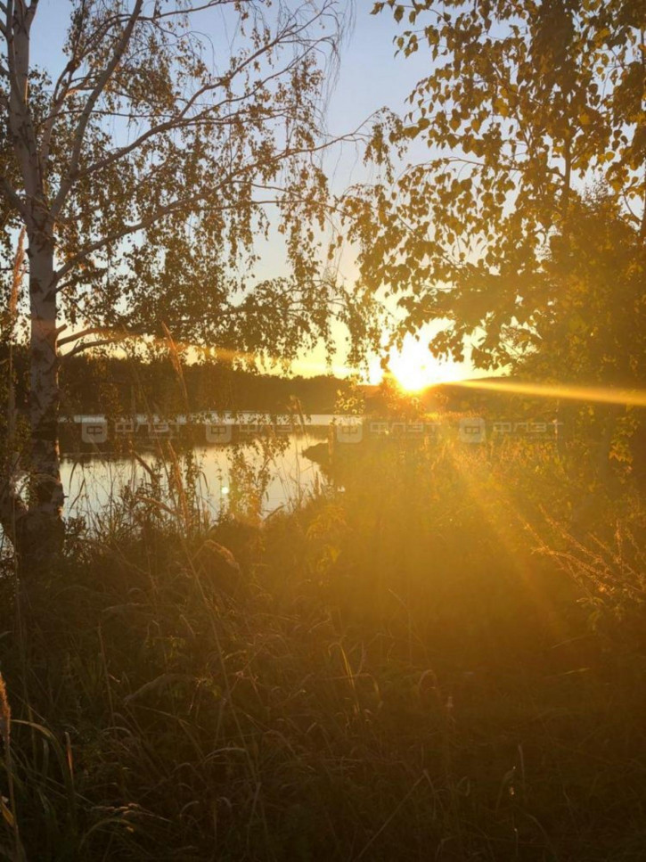 Земельный участок ул. Свободы, дом 31