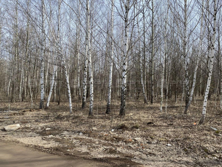 Земельный участок ул. Газовая (Салмачи), дом 62