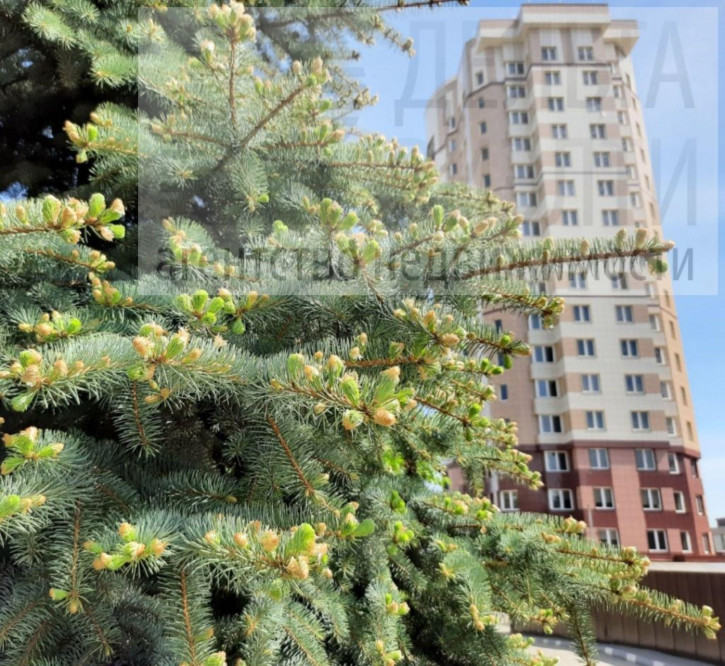 3-комн квартира в новом доме Конспиративный пер, 14к3