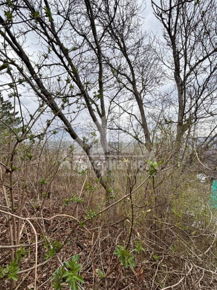 Земельный участок с/т Дружба