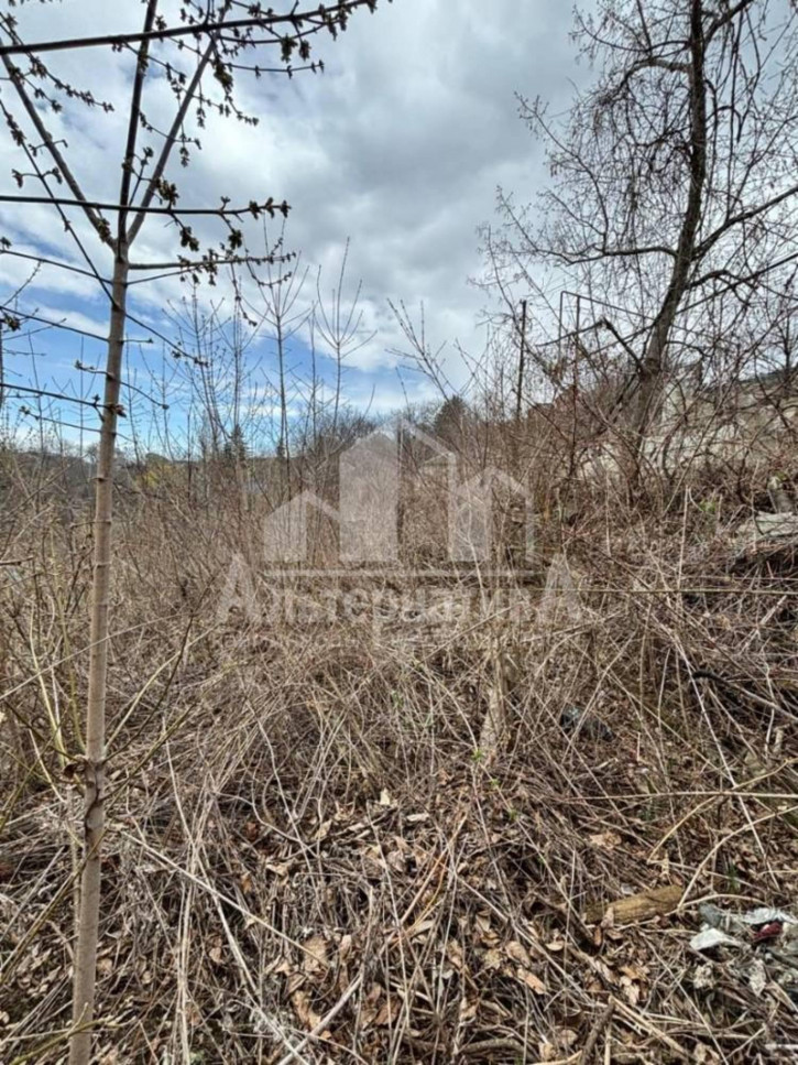 Земельный участок с/т Дружба