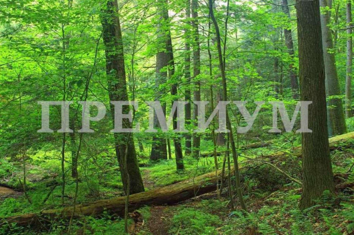 Земельный участок Красноглинское шоссе, 145