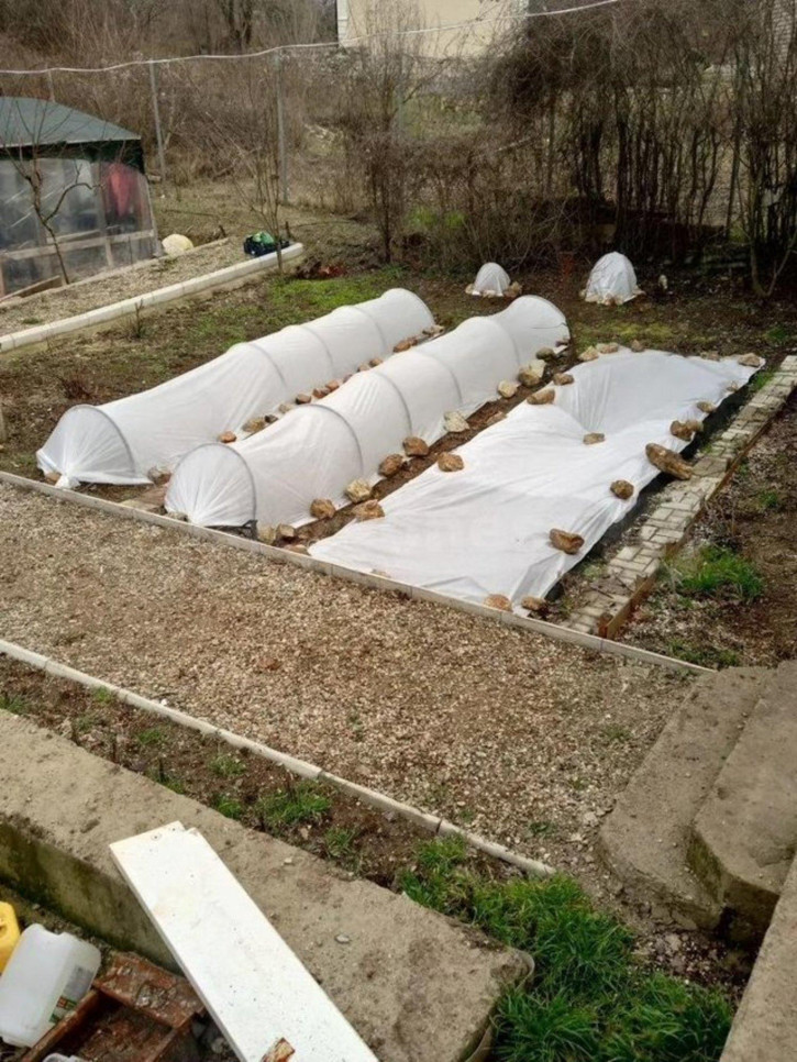 Земельный участок территория СТ Дружба