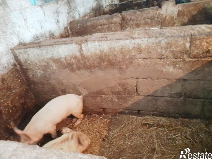 Отдельное здание Среднеахтубинский район, Красное сельское поселение, посёлок Стандарт