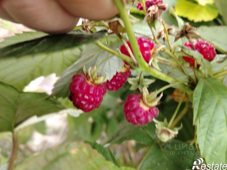 Коттедж/дом Стерлитамак, 3-я Западная улица, 16