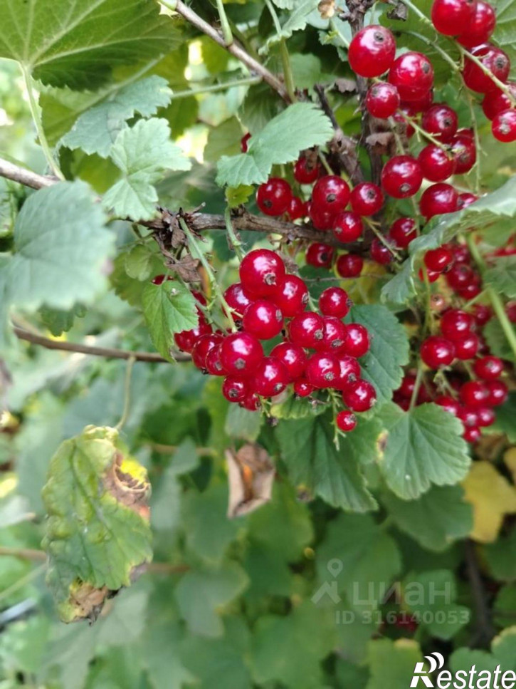 Коттедж/дом Стерлитамак, 3-я Западная улица, 16