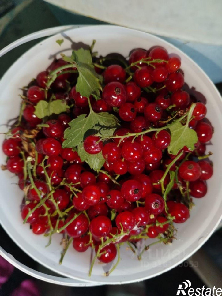 Коттедж/дом Стерлитамак, 3-я Западная улица, 16