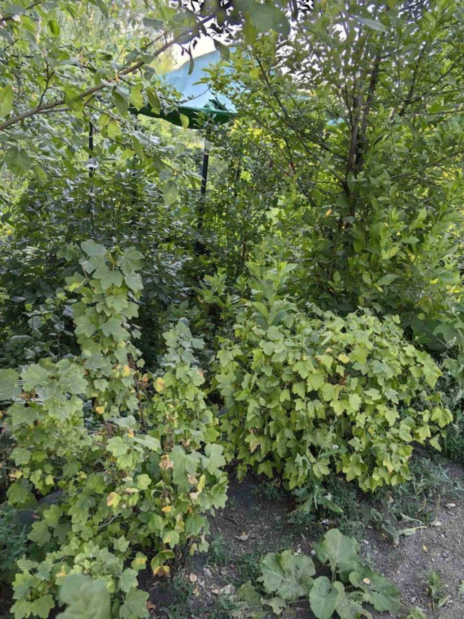 Купить дачу, дом, коттедж за 900 000 рублей на СНТ Механизатор-86 тер