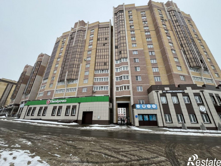 1-комн квартира Евгения Ермакова ул, 1к1