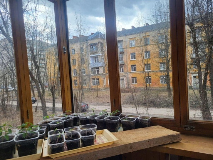 4-комн квартира 14-е п/о, 5