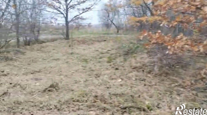 Земельный участок Гурьевский муниципальный округ, посёлок Цветково (Новомосковское се
