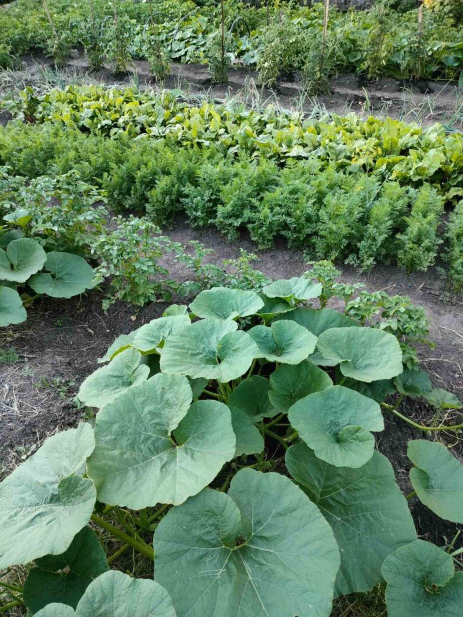 Купить дачу, дом, коттедж за 3 750 000 рублей на 1 Августа ул