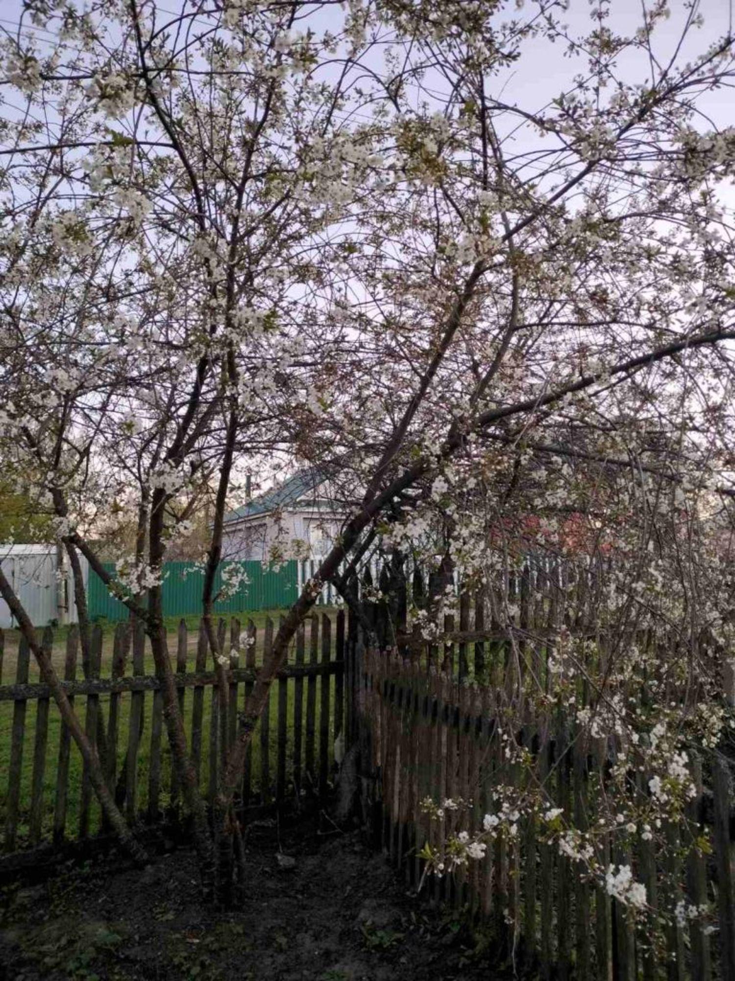 Купить дачу, дом, коттедж за 3 750 000 рублей на 1 Августа ул