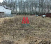 земля 11 сот д. Красный Бор