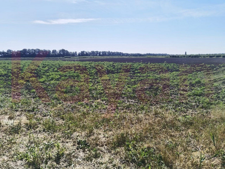 Земельный участок Краснодар