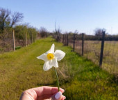 земля 5 сот СНТ Учитель Митяевское сельское поселение